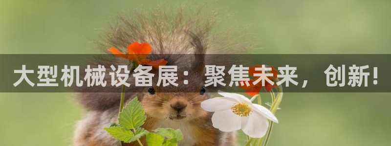 龙八国际棋牌有挂吗