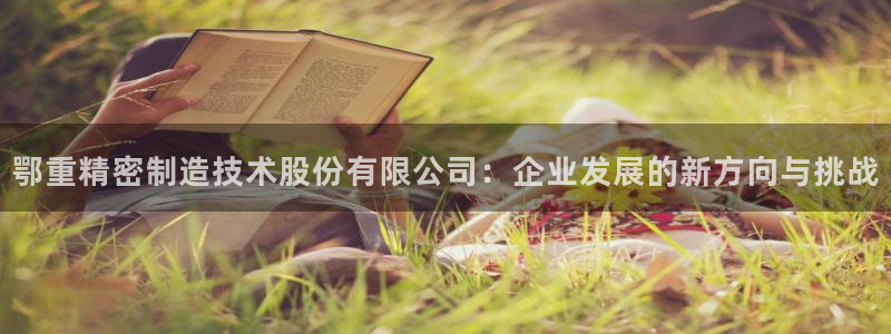 龙八国际华