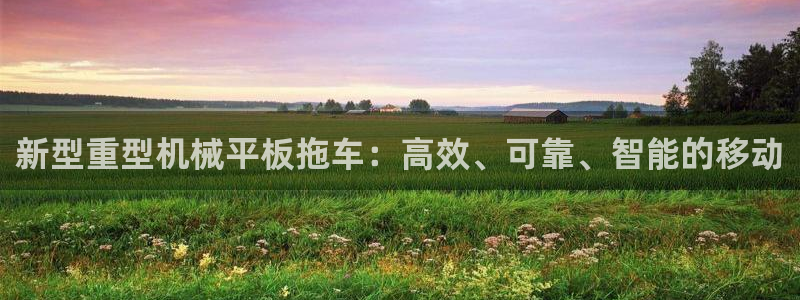 龙八国际手机app