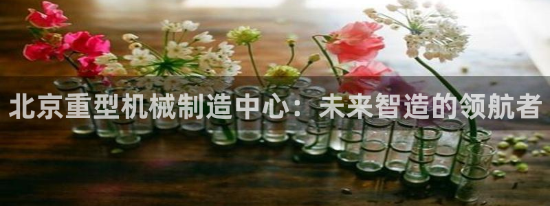 龙八国际手机端