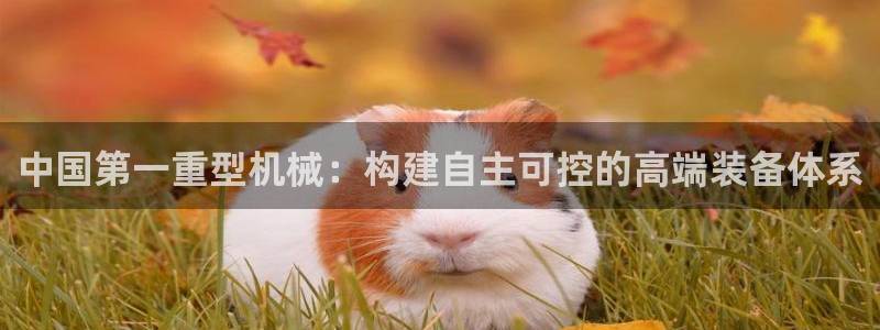 龙八国际mg老虎机