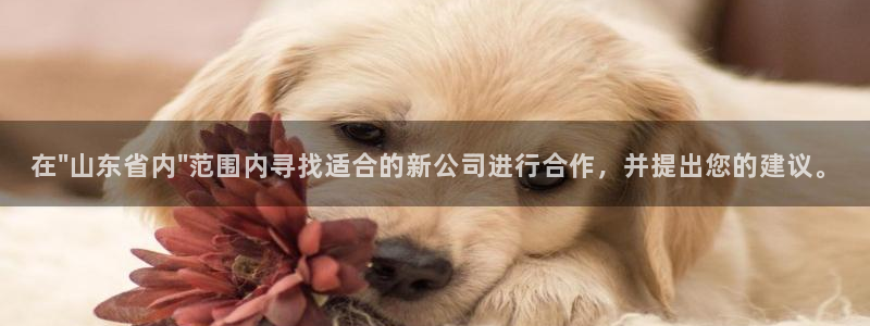 龙八国际下载官网平台