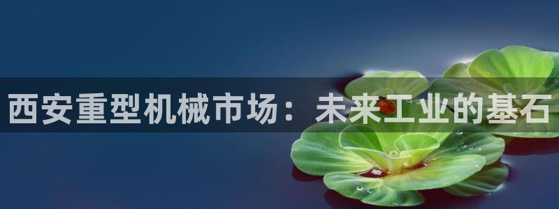 龙八国际苹果版