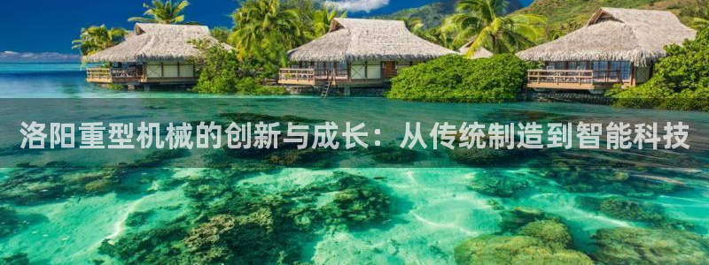 龙八国际 官网
