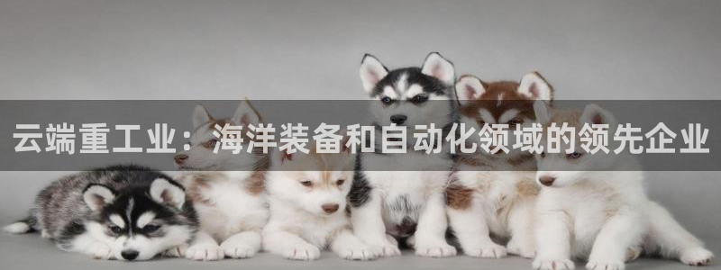 龙八国际现金
