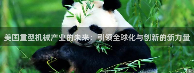 龙八国际优惠券