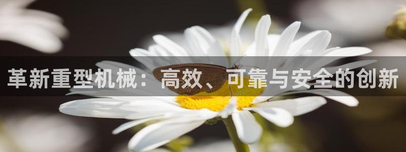 龙八国际客服