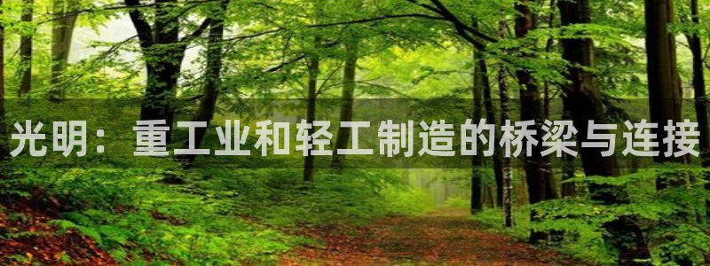龙八国际城客运站电话