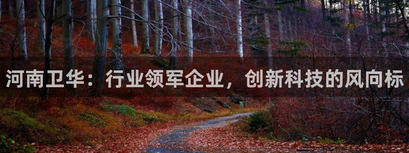 龙八国际long88