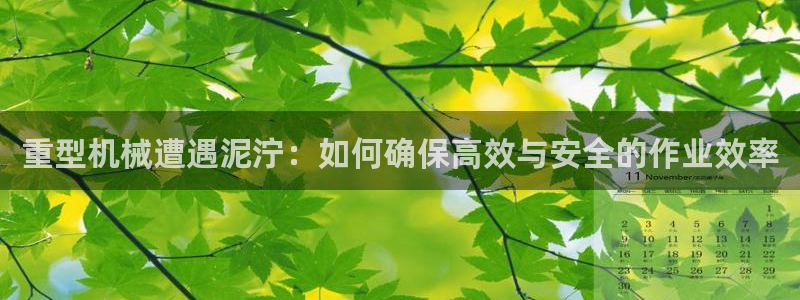 龙八国际 官网