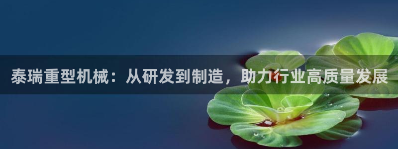 龙八国际手机版官网平台