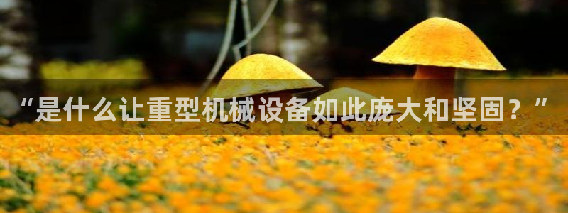 龙八国际娱乐在线