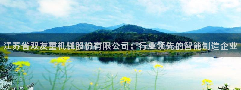 龙八国际long8