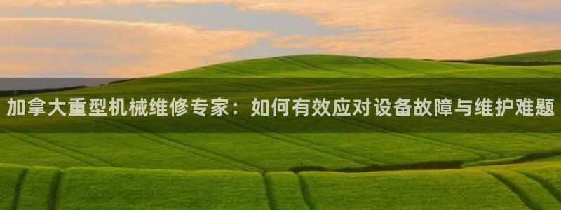 龙八国际官首页